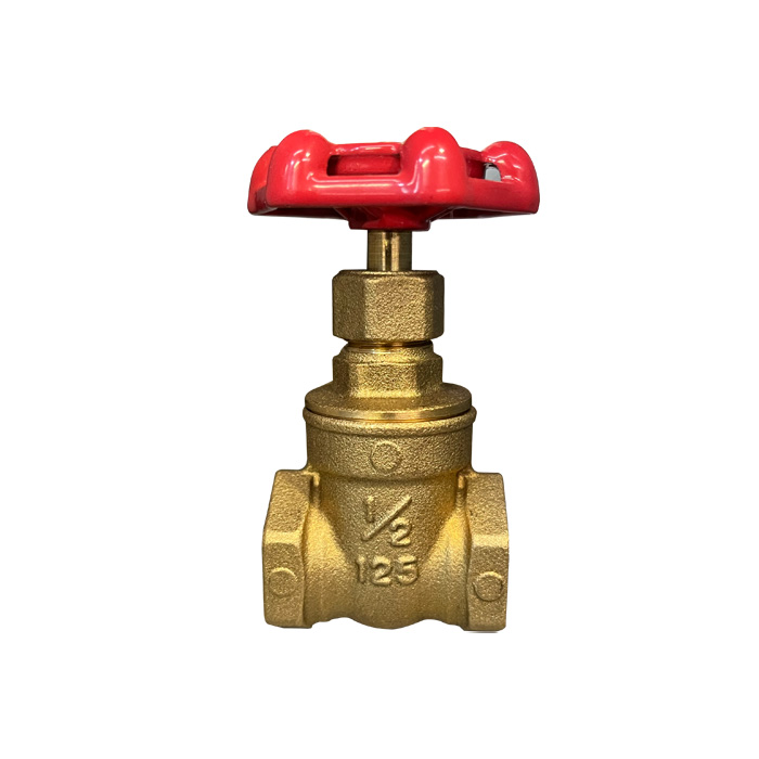 KITZ Gate Valve 1/2" #125FH