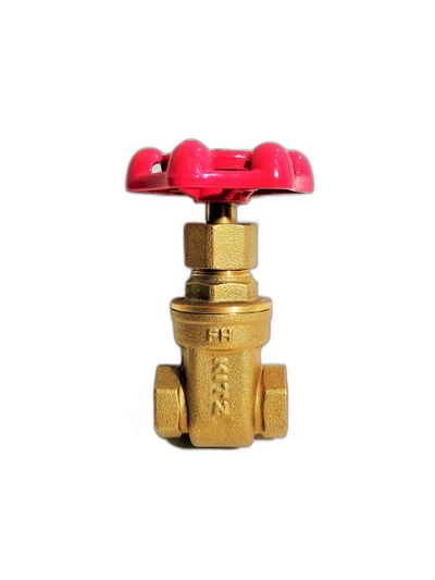 KITZ Gate Valve 1/4" #125FH
