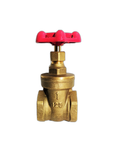 KITZ Gate Valve 1" #125FH