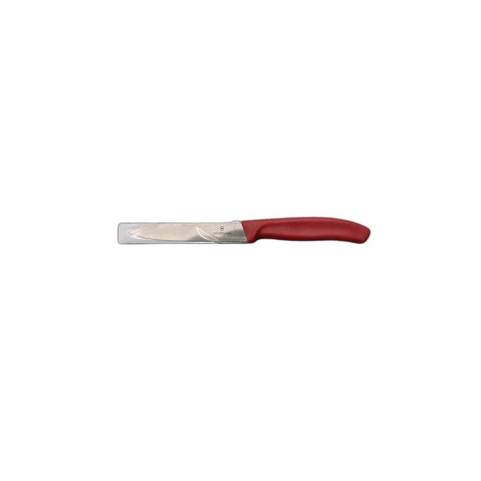 VICTORINOX Paring Knife Point Red 10cm 6.7701