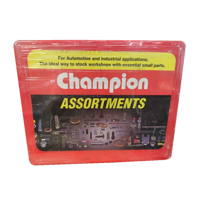 CHAMPION CA101 Extension Springs Set